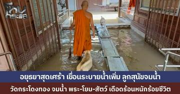 เขื่อนเจ้าพระยาระบายน้ำเพิ่มทะลัก 2,900 ลบ.ม./วินาที น้ำสูงขึ้นเร็วจนหนีไม่ทัน วัดกระโดงทอง จมน้ำ พระ-หมา-แมว กว่า 100 ชีวิตเดือดร้อน ลูกสุนัขหนีไม่ทันจมน้ำตาย