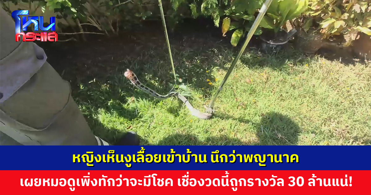 หญิงเห็นงูเลื้อยเข้าบ้าน นึกว่าพญานาค เชื่องวดนี้ถูกรางวัล 30 ล้านแน่นอน