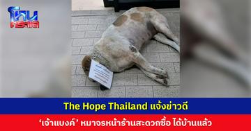 ‘เดอะ โฮป’ แจ้งข่าวดี ‘เจ้าแบงค์’ หมาจรหน้าร้านสะดวกซื้อ ได้บ้านแล้ว