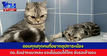 ตร.รับฝากแมวหลง เผยมีคนโทรขอเลี้ยงน้องจำนวนมาก แจงยังไม่มอบให้ใคร หวั่นปัญหาในอนาคต