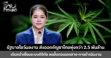 รัฐบาลโชว์ผลงาน ส่งออกกัญชาไทยพุ่งกว่า 2.5 พันล้าน เดินหน้าเชื่อมระบบดิจิทัล ลดขั้นตอนเอกสาร-การดำเนินงาน