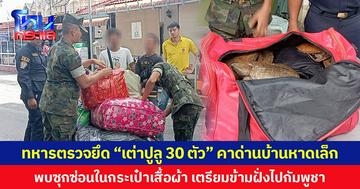 ทหารตรวจยึด “เต่าปูลู 30 ตัว” คาด่านบ้านหาดเล็ก พบซุกซ่อนในกระเป๋าเสื้อผ้า เตรียมข้ามฝั่งไปกัมพูชา