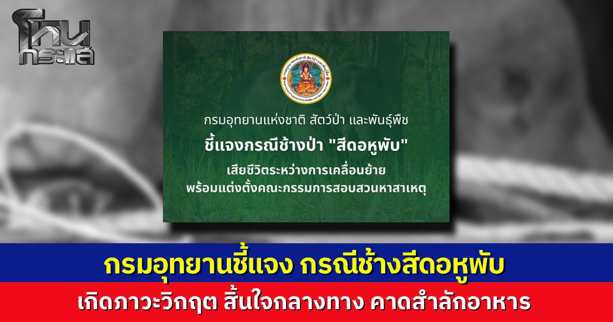 กรมอุทยานฯ แจงเคลื่อนย้าย "สีดอหูพับ" ไปภูหลวงตามคำสั่งศาล เกิดภาวะวิกฤตทีมแพทย์ยื้อไม่ไหว สิ้นใจกลางทาง คาดสำลักอาหาร เร่งตั้งกรรมการสอบ