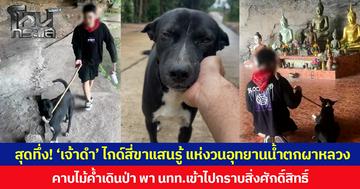 สุดทึ่ง! ‘เจ้าดำ’ ไกด์สี่ขาแสนรู้ แห่งวนอุทยานน้ำตกผาหลวง คาบไม้ค้ำเดินป่า พา นทท.เข้าไปกราบสิ่งศักดิ์สิทธิ์