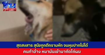 สุดโหด ชายใช้เสียมฟาดสุนัขอายุ 6 เดือนจนกรามหัก หุบปากไม่ได้ อ้างสุนัขเข้ามากัดไก่ที่เลี้ยงไว้