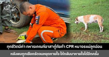ทุกชีวิตมีค่า ทหารเกณฑ์อาสากู้ภัยทำ CPR หมาจรแม่ลูกอ่อน  หลังพบถูกเชือกรัดจนหยุดหายใจ ให้กลับมาหายใจได้อีกครั้ง