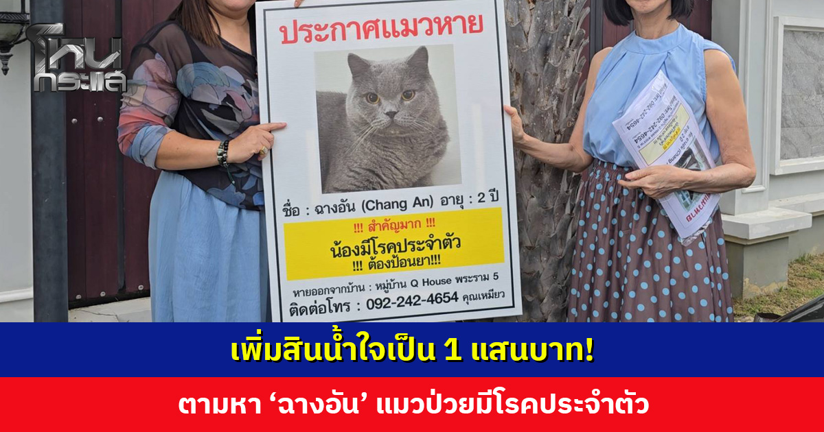 เพิ่มสินน้ำใจเป็น 1 แสนบาท! ตามหา ‘ฉางอัน’ แมวป่วยมีโรคประจำตัว