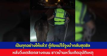 เป็นทุกอย่างให้เธอแล้ว! กู้ภัยแม่โจ้จูงม้ากลับสุดชิล หลังวิ่งเตลิดกลางถนน ชาวบ้านหวั่นเกิดอุบัติเหตุ ล่าสุดเจ้าของมารับกลับบ้านแล้ว
