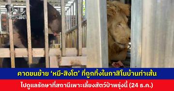 คาดขนย้าย ‘หมี-สิงโต’ ที่ถูกทิ้งในกาสิโนบ้านท่าเส้น ไปดูแลรักษาได้พรุ่งนี้ (24 ธ.ค.) ส่ง จนท. ปให้อาหารอีกรอบ ให้สัตว์มีความพร้อมสูงสุด