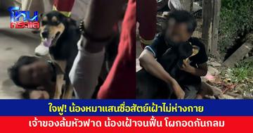 ชาวเน็ตใจฟู น้องหมาแสนซื่อสัตย์ เจ้าของล้มหัวฟาดหลับ  เฝ้าไม่ห่าง ฟื้นมากอดกันกลม