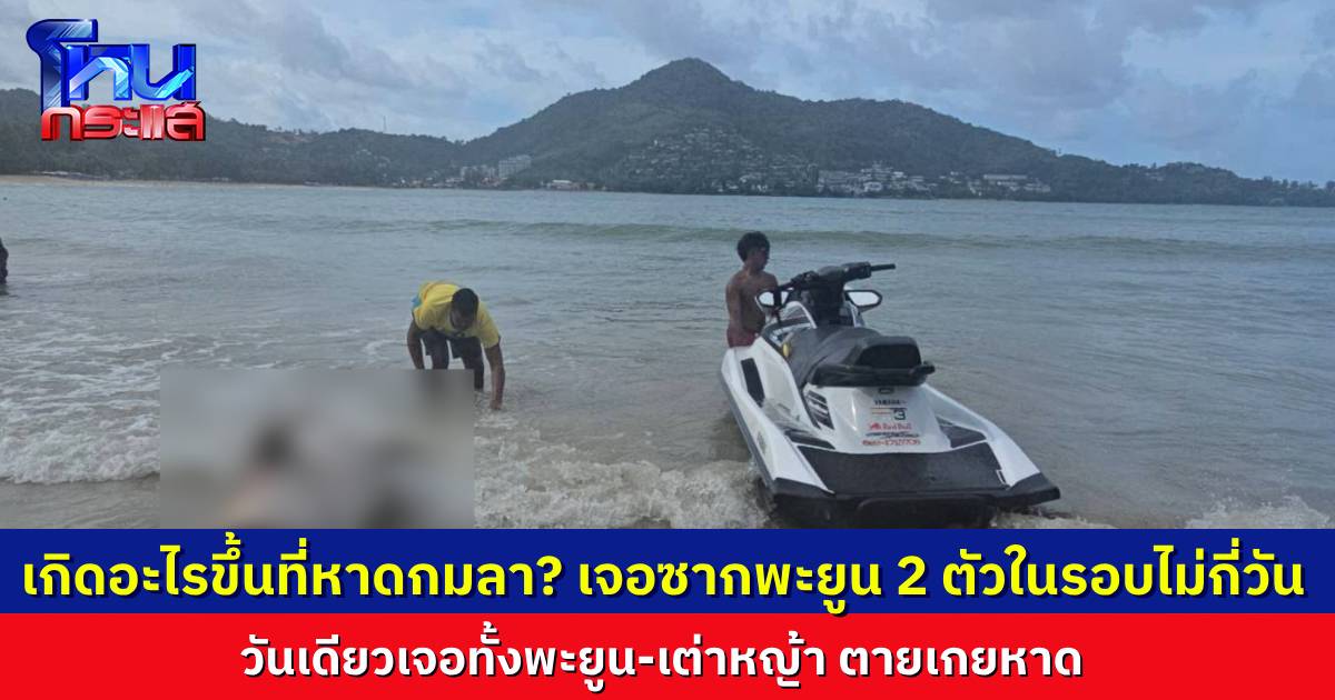 สลดใจ เจอซาก “พะยูน” ตายตัวที่ 2 ในรอบไม่กี่วัน ซากเกยหาดกมลา วันเดียวกันเจอ “เต่าหญ้า” ตายเกยหาดเช่นเดียวกัน