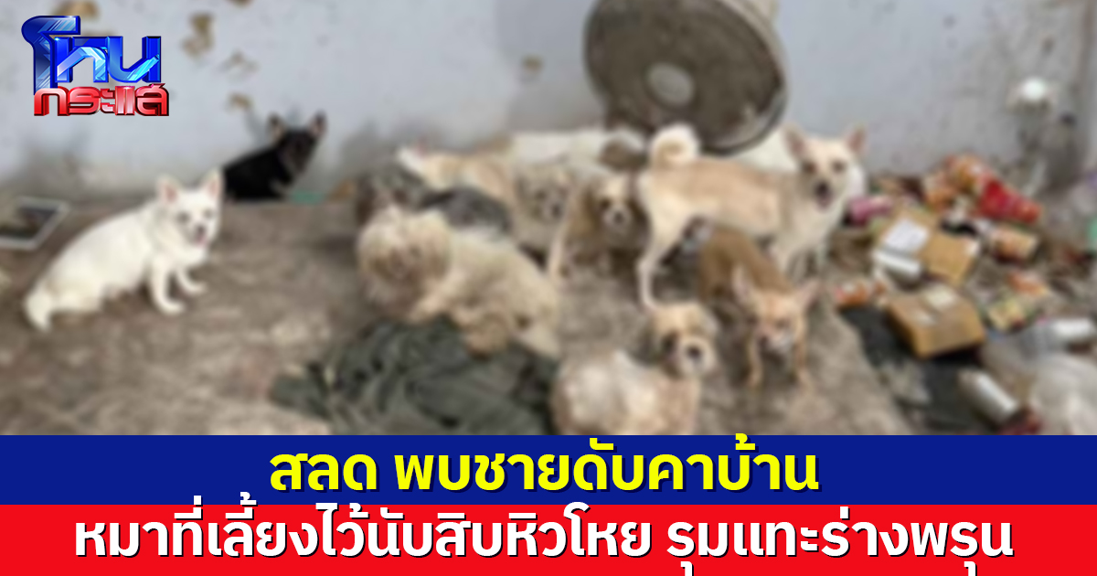 สลด พบชายดับคาบ้านเต็มไปด้วยขยะ หมาที่เลี้ยงไว้นับสิบหิวโหย รุมแทะร่าง ขาเหลือแต่กระดูก