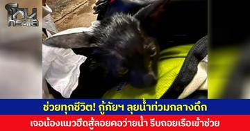 ช่วยทุกชีวิต! กู้ภัยฯ ลุยน้ำท่วมกลางดึก เจอน้องแมวฮึดสู้ลอยคอว่ายน้ำ รีบถอยเรือเข้าช่วย