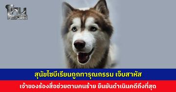 สุนัขไซบีเรียนถูกทารุณกรรม ได้รับบาดเจ็บสาหัส เจ้าของร้องสื่อช่วยตามคนร้าย