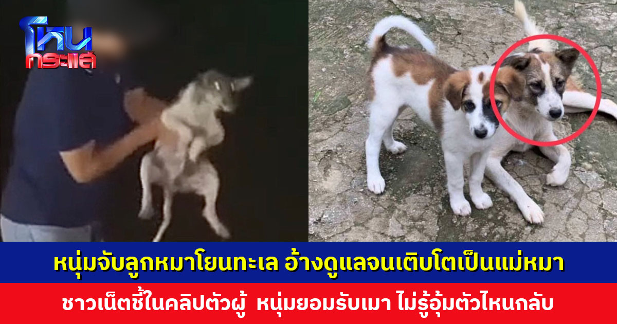 หนุ่มจับลูกหมาโยนทะเล อ้างพาหมากลับดูแลจนเติบโตเป็นแม่หมา ชาวเน็ตชี้ในคลิปตัวผู้ หนุ่มยอมรับเมา ไม่รู้อุ้มตัวไหนกลับ
