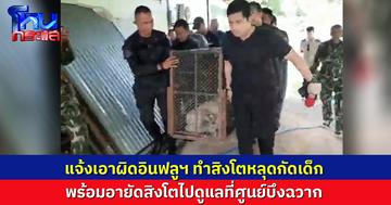 จนท.เข้าอายัดสิงโตหลุดกัดเด็ก ส่งดูแลที่ศูนย์บึงฉวาก ด้านเจ้าของเจอแจ้งเอาผิด กม.สัตว์ป่าสงวน