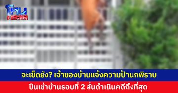 รอบนี้จะเข็ดไหม? เจ้าของบ้านแจ้งความป้านกพิราบปีนเข้าบ้านรอบที่ 2 ลั่นไม่รับเงินชดใช้
