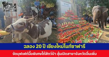 ฉลอง 20 ปี เชียงใหม่ไนท์ซาฟารี จัดบุฟเฟต์มื้อพิเศษให้สัตว์ป่า ลุ้นเปิดสาขาจังหวัดอื่นเพิ่ม
