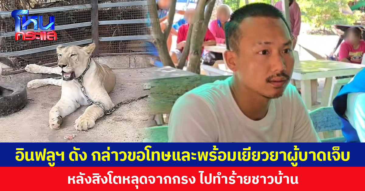 อินฟลูฯ ดัง กล่าวขอโทษและพร้อมเยียวยาผู้บาดเจ็บ หลังสิงโตหลุดจากกรง ไปทำร้ายชาวบ้าน
