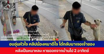 อบอุ่นหัวใจ คลิปน้องหมาดีใจ ได้กลับมาเจอเจ้าของ  หลังเป็นหมาหลง หายออกจากบ้านไป 2 อาทิตย์
