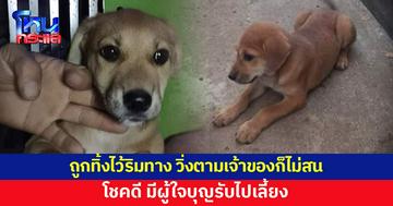 น้องหมาถูกเจ้าของเอามาทิ้งริมทาง โชคดี มีผู้ใจบุญรับไปเลี้ยง