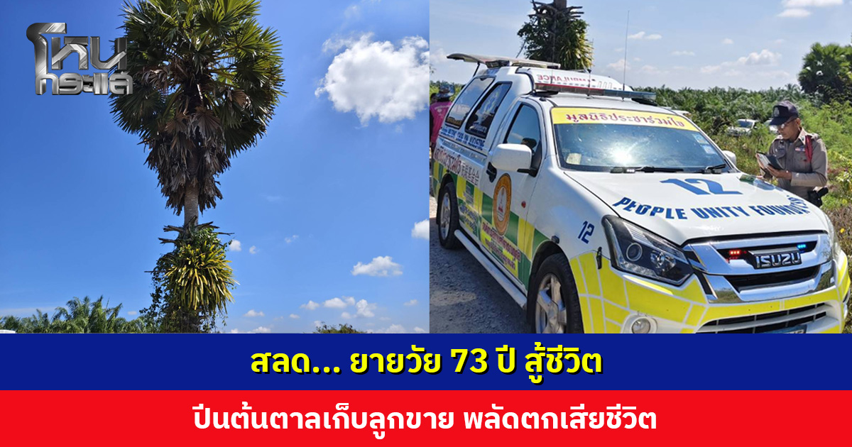 สลด... ยายวัย 73 ปี สู้ชีวิต ปีนต้นตาลเก็บลูกขาย พลัดตกเสียชีวิต