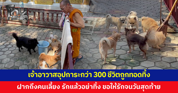 หมากว่า 300 ชีวิตถูกทอดทิ้ง เจ้าอาวาสอุปการะ ฝากถึงคนเลี้ยง รักแล้วอย่าทิ้ง