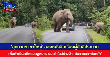 อุทยานแห่งชาติเขาใหญ่ ออกหนังสือเรียกผู้ขับขี่ประมาท เกือบชนช้างป่า “พ่องาทอง-ต้นกล้า”ดำเนินคดีตามกฎหมาย เหตุทำช้างตื่นตกใจ-เสี่ยงอุบัติเหตุ ชี้คุกคามสัตว์ป่า