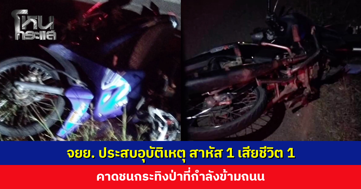 จยย. ประสบอุบัติเหตุ สาหัส 1 เสียชีวิต 1 คาดชนกระทิงป่าที่กำลังข้ามถนน