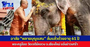พระครูอ๊อด วัดเจดีย์หลวง จ.เชียงใหม่ แจ้งข่าวเศร้า ปิดตำนาน “พลายบุญแสน” ช้างของแผ่นดิน ล้มแล้วด้วยอายุ 61 ปี ในวันออกพรรษา
