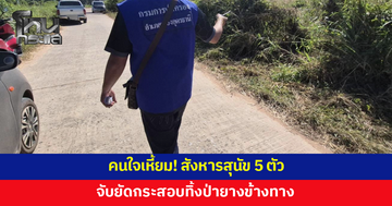 คนใจเหี้ยม! สังหารสุนัข 5 ตัว จับยัดกระสอบทิ้งป่ายางข้างทาง 