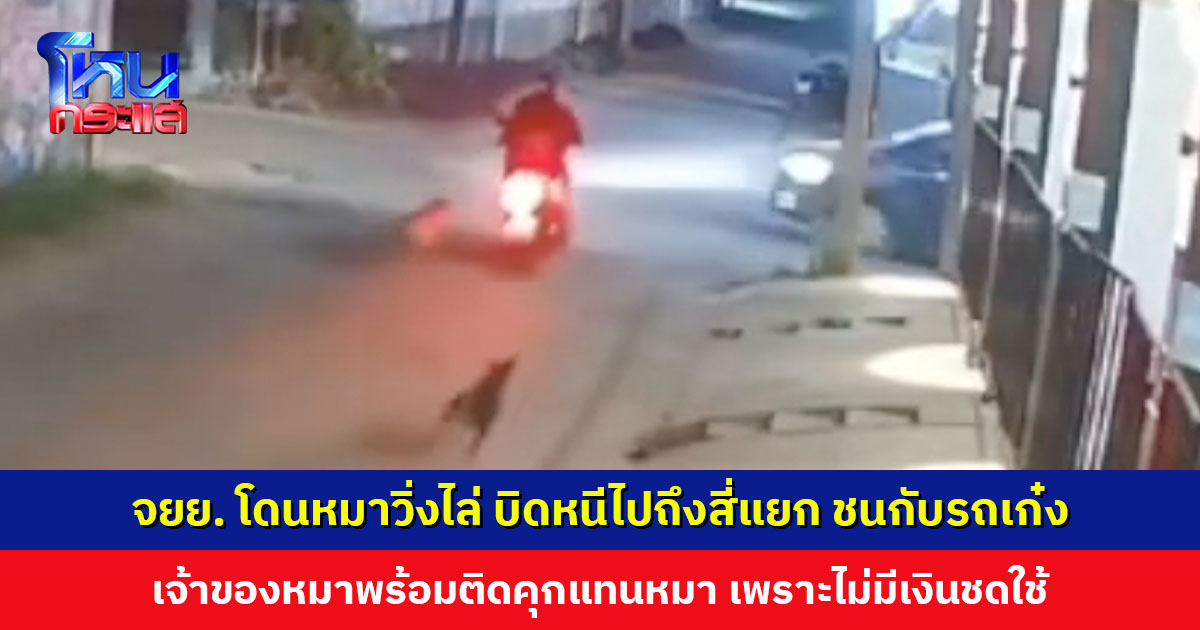 จยย. โดนหมาวิ่งไล่ บิดหนีไปถึงสี่แยก ชนกับรถเก๋ง เจ้าของหมาพร้อมติดคุกแทนหมาเพราะไม่มีเงินชดใช้