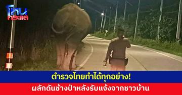 ไม่มีอะไรที่ตำรวจไทยทำไม่ได้! ล่าสุดผลักดันช้างป่า หลังชาวบ้านโทรแจ้ง