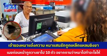 เจ้าของหมาแจ้งความ หมาแสนรักถูกเหล็กแหลมยิงขา โดยไม่ทราบสาเหตุ ก่อนหน้าถูกวางยาไป 10 ตัว