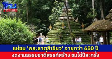อันซีนเชียงใหม่ นทท.แห่ชม 'พระธาตุสีเขียว' อายุกว่า 650 ปี ศิลปะธรรมชาติสรรค์สร้างในฤดูฝน