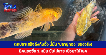 ตกปลาเสร็จ เอากลับมาแช่ไว้ในกะละมัง พอมาดูอีกทีถึงกับอึ้ง 'ปลาบู่สีทองอร่าม' มีคนขอซื้อ 1 หมื่น ไม่ขาย