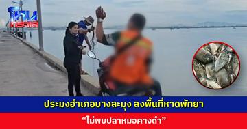 ประมงอำเภอบางละมุง ลงพื้นที่หาดพัทยา “ไม่พบปลาหมอคางดำ” วอนประชาชนหากจับได้อย่าปล่อยคืนแหล่งน้ำ