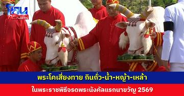เปิดคำทำนาย พระโคเสี่ยงทาย กินถั่ว-น้ำ-หญ้า-เหล้า ในพระราชพิธีจรดพระนังคัลแรกนาขวัญ 2569