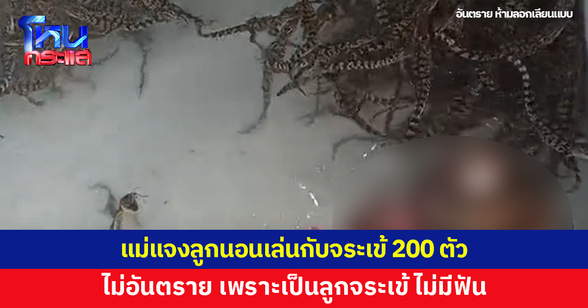 แม่แจง ลูกสาวนอนเล่นกับจระเข้ 200 ตัว ยันไม่อันตราย เพราะเป็นลูกจระเข้เกิดใหม่ ไม่มีฟัน