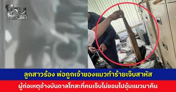 ลูกสาวพาพ่อร้องขอความเป็นธรรม ถูกเจ้าของแมวทำร้ายเจ็บสาหัส ผู้ก่อเหตุอ้างบันดาลโทสะ