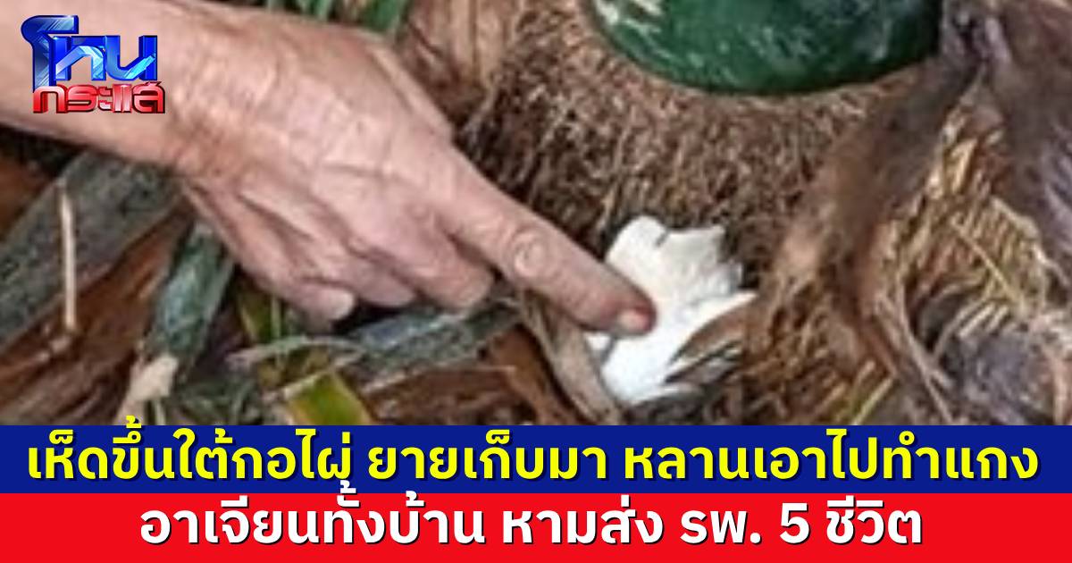 ยายวัย 80 ปี เก็บเห็ดขึ้นใต้กอไผ่ มาวางไว้ในบ้าน หลานสาวไม่รู้นำไปแกงกิน ผ่านไป 15 นาที อาเจียนไม่หยุด แน่นหน้าอก หามส่งโรงพยาบาล 5 ชีวิต