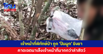 เจ้าหน้าที่พิทักษ์ป่า ถูก 'ปืนผูก' ยิงขาขณะลาดตระเวน 