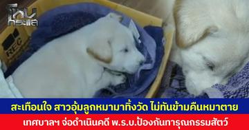 สะเทือนใจ สาวอุ้มลูกหมามาทิ้งวัด ไม่ทันข้ามคืนหมาตาย เทศบาลฯ จ่อดำเนินคดี พ.ร.บ.ป้องกันทารุณกรรมสัตว์