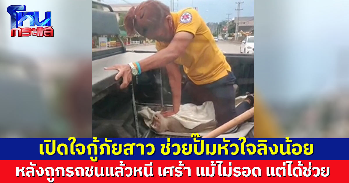 เปิดใจกู้ภัยสาว ช่วยปั๊มหัวใจลิงน้อยถูกรถชนแล้วหนี แม้สุดท้ายไม่รอด แต่ได้ช่วย ฝากถึงคนชน ทุกชีวิตมีค่า