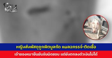 หญิงส่งพัสดุถูกพิตบูลกัด เป็นแผลติดเชื้อ เจ้าของหมายืนยันรับผิดชอบ แต่ยังตกลงตัวเงินไม่ได้
