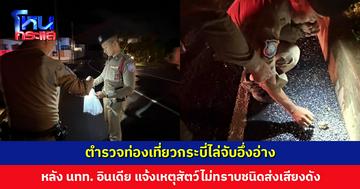 ตำรวจท่องเที่ยวกระบี่ไล่จับอึ่งอ่าง หลังนักท่องเที่ยวอินเดียแจ้ง มีสัตว์ไม่ทราบชนิดส่งเสียงระงมจนนอนไม่หลับ