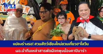แปลงร่างรอแล้ว! สวนสัตว์เชียงใหม่ ชวนเที่ยววันฮาโลวีน ผอ.นำทีมเหล่าสารพัดผีจกพุงน้องคาปิบาร่า