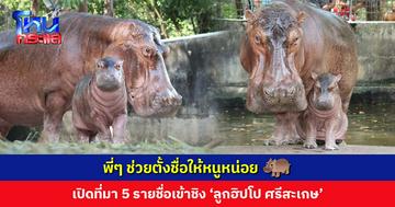 พี่ๆ ช่วยตั้งชื่อให้หนูหน่อย ชวนโหวตชื่อ ‘ลูกฮิปโป ศรีสะเกษ’ พร้อมเปิดที่มาของ 5 รายชื่อเข้าชิง