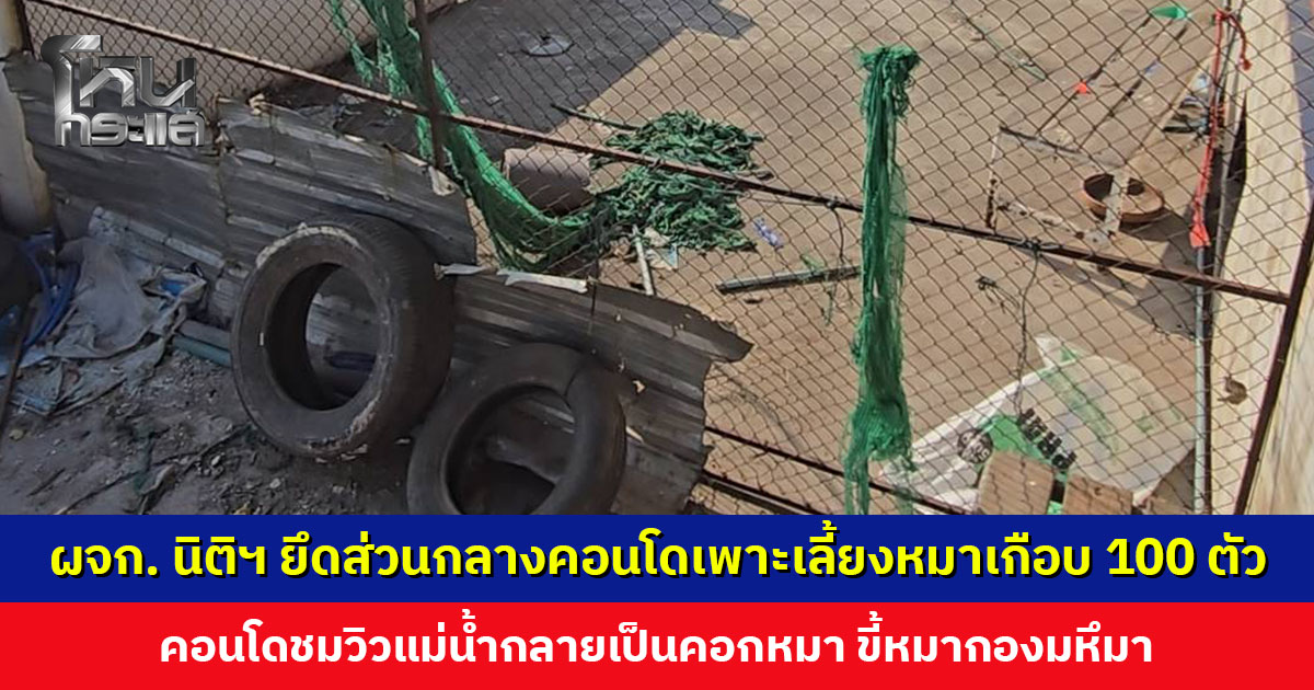ผู้จัดการนิติฯ ยึดส่วนกลางคอนโดเพาะเลี้ยงหมาเกือบ 100 ตัว คอนโดชมวิวแม่น้ำกลายเป็นคอกหมา ขี้หมากองมหึมา