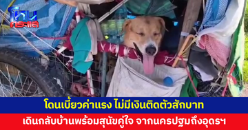 โดนนายจ้างเบี้ยวค่าแรง ไม่มีเงินติดตัวสักบาท ชายวัย 50 เดินขนสัมภาระกลับบ้านพร้อมสุนัขคู่ใจ จากนครปฐมถึงอุดรธานี